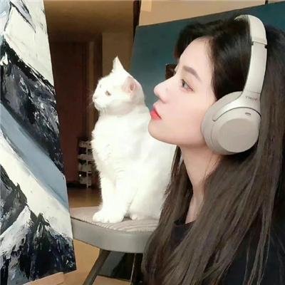 义勇七先锋