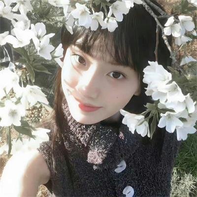 许愿树